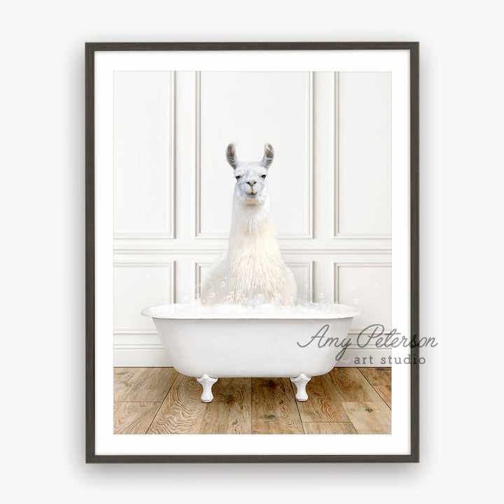 a llama sitting in a bathtub with a white wall behind it