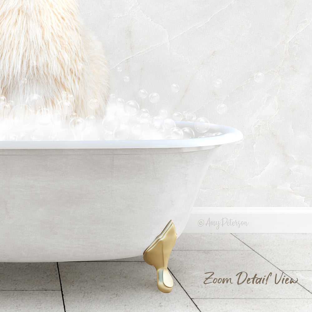 A fluffy white cat sitting in a white bathtub filled with bubbles, with a text overlay that reads "Zoom Detail View".