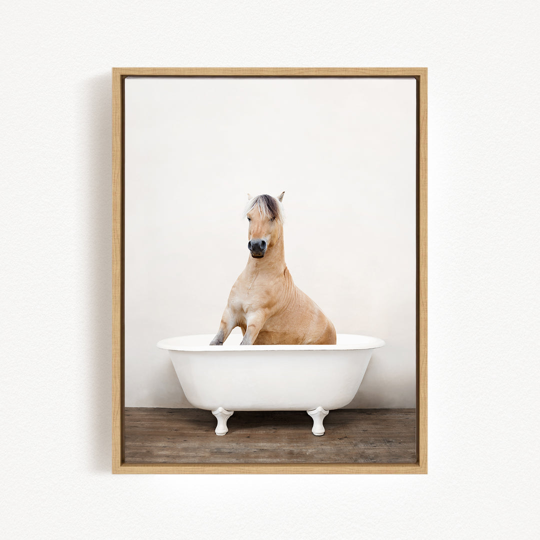 A light brown horse is sitting in a white bathtub against a plain white wall.