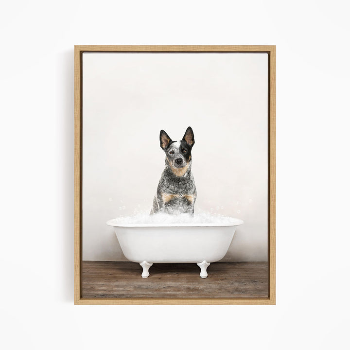 A black and white dog sitting in a white bathtub filled with water, looking directly at the camera.
