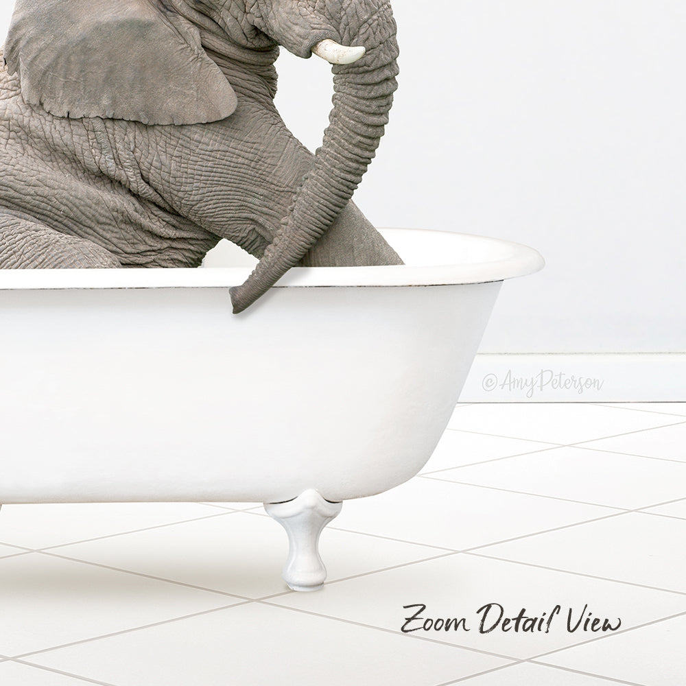 A large gray elephant is sitting in a white bathtub, with its trunk curled around the tub's edge.