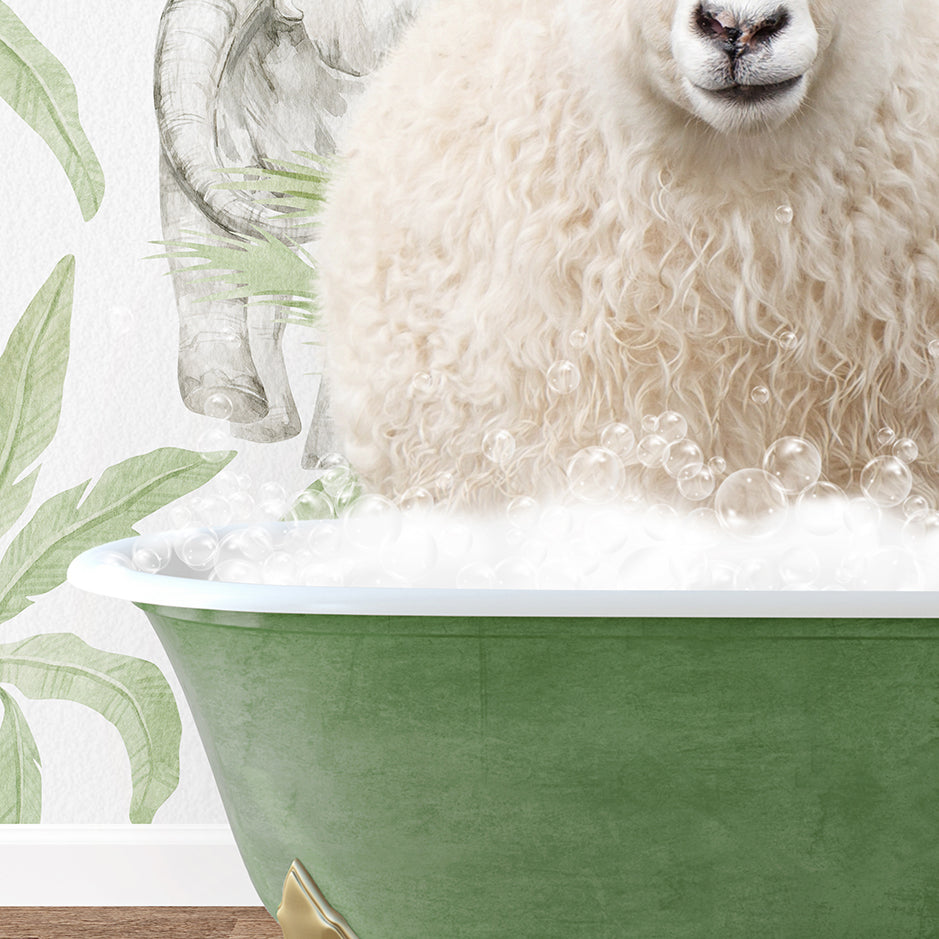 a white sheep sitting in a green bath tub