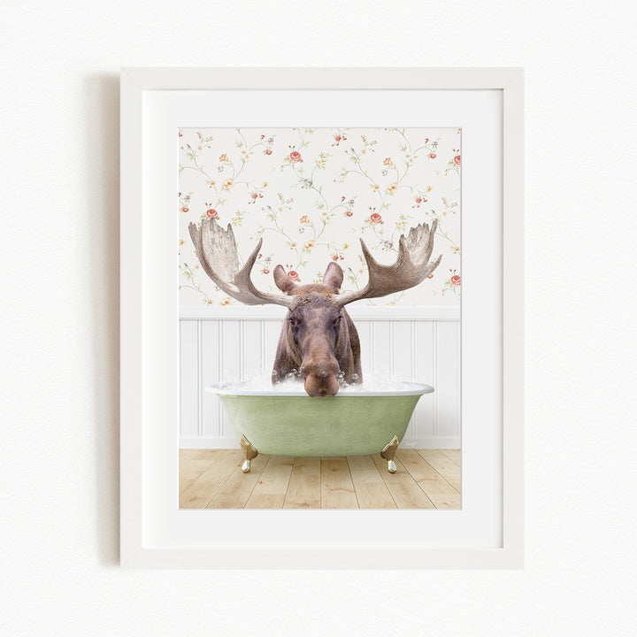 A moose with large antlers is sitting in a green bathtub, surrounded by a floral wallpaper.