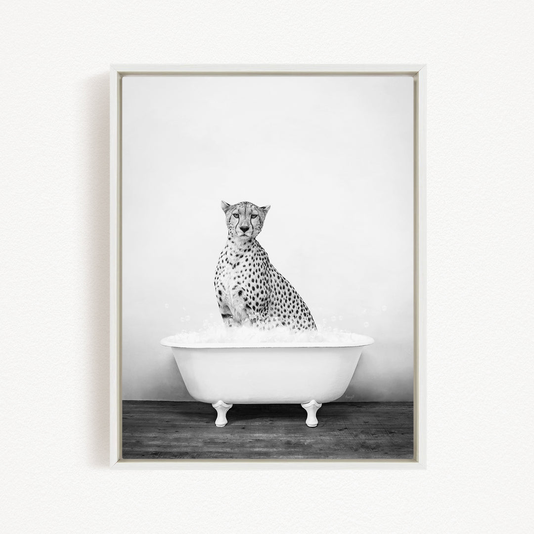 A cheetah sitting in a white bathtub filled with water, creating a striking and unusual scene.