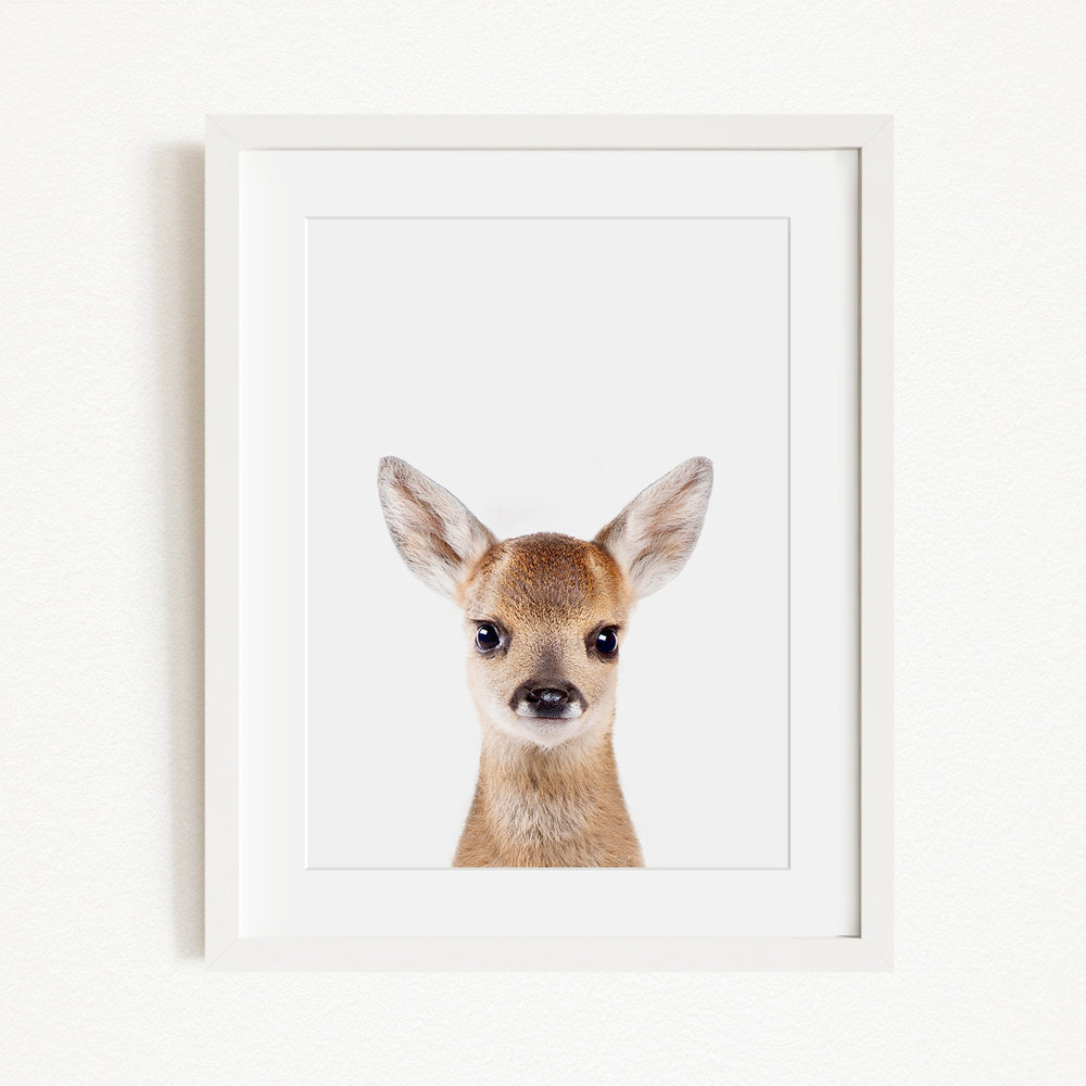 A framed image of a deer with large ears and a small nose, looking directly at the camera.
