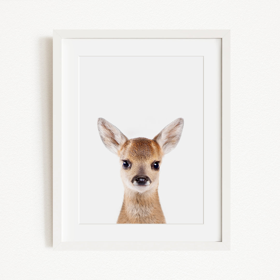 A framed image of a deer with large ears and a small nose, looking directly at the camera.