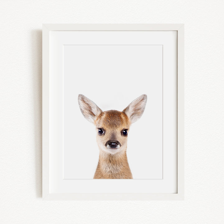 A framed image of a deer with large ears and a small nose, looking directly at the camera.