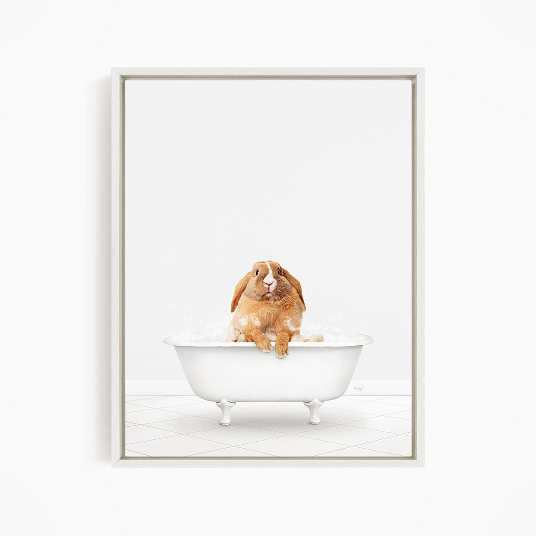 A brown rabbit sitting in a white bathtub filled with water, looking up at the camera.
