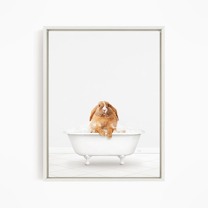 A brown rabbit sitting in a white bathtub filled with water, looking up at the camera.