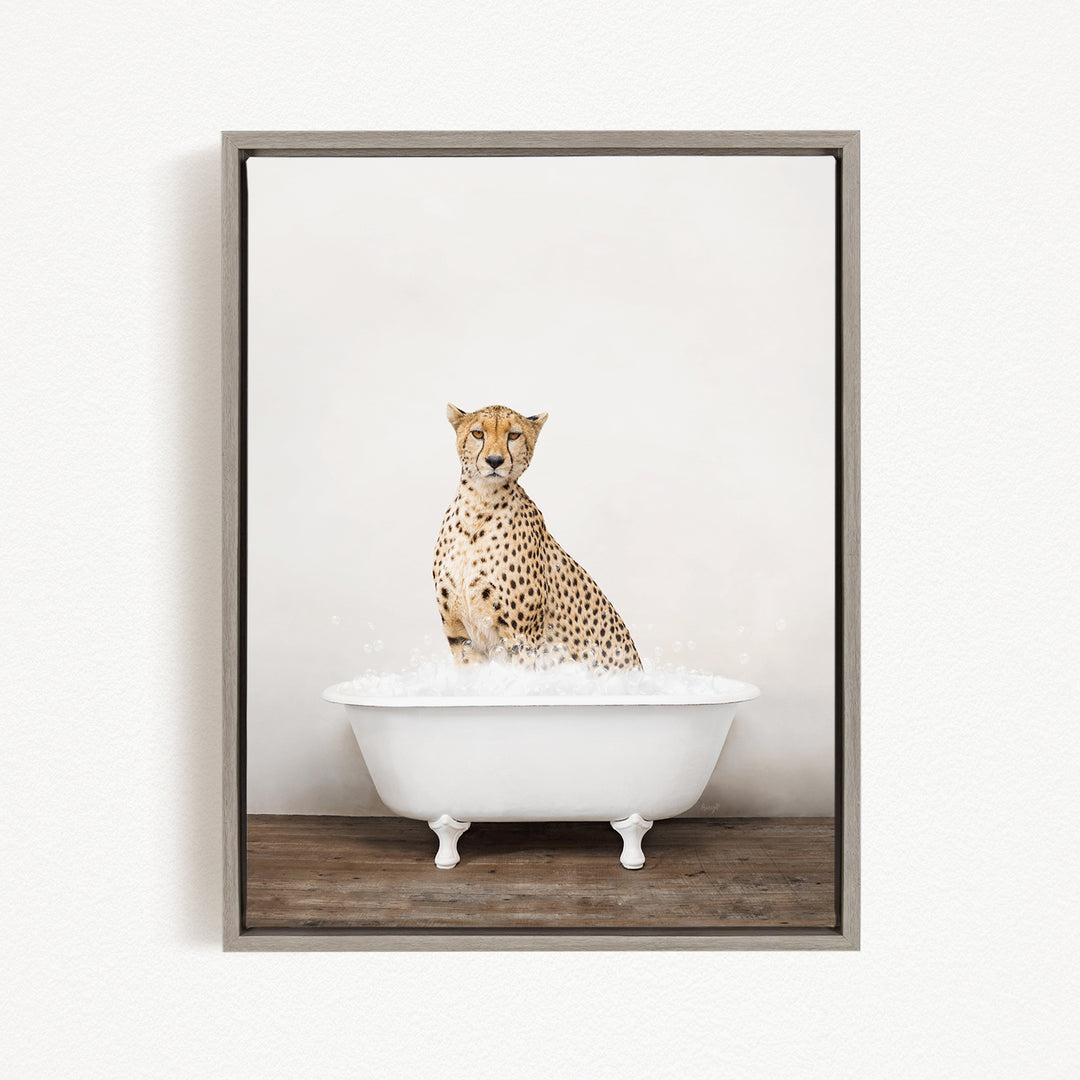 A cheetah sitting in a white bathtub filled with water.