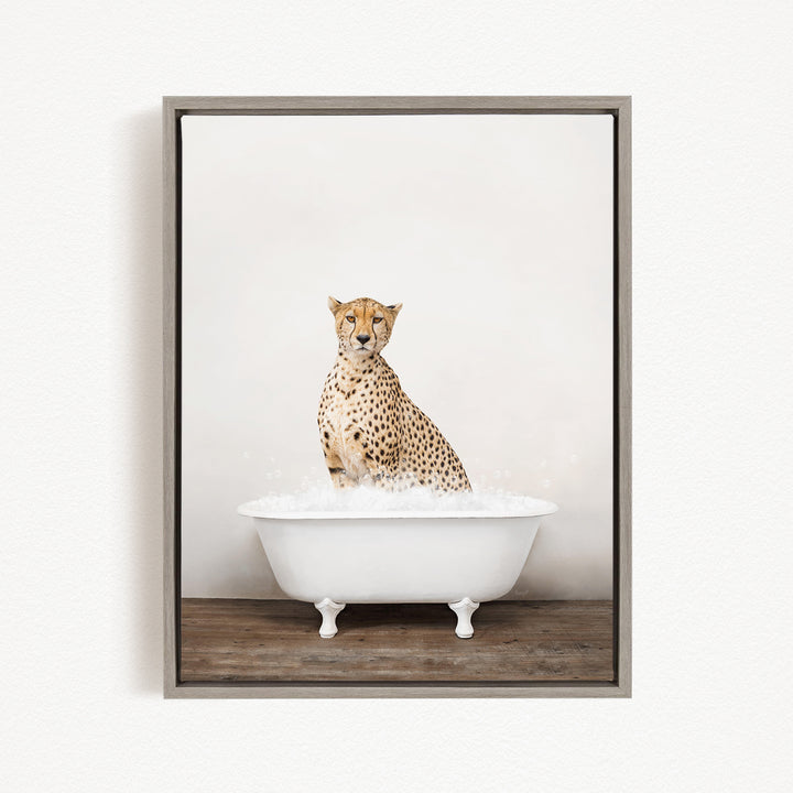 A cheetah sitting in a white bathtub filled with water.