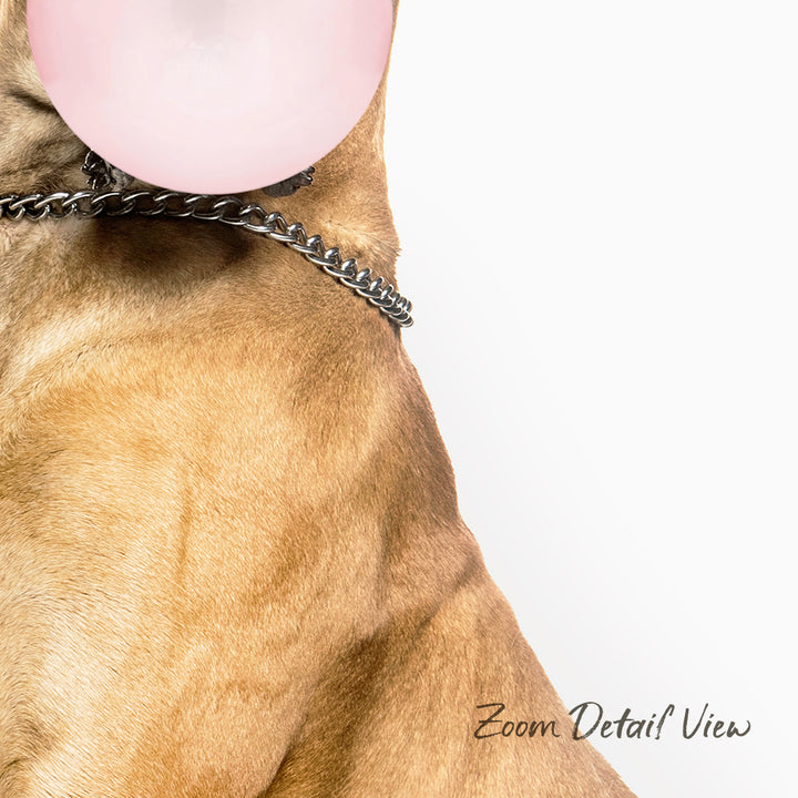 A close-up of a dog's neck and collar, with a pink bubble gum bubble attached to the collar.