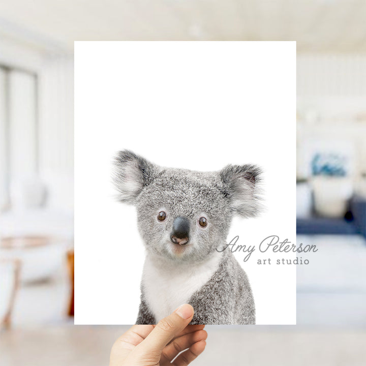 a hand holding a picture of a koala