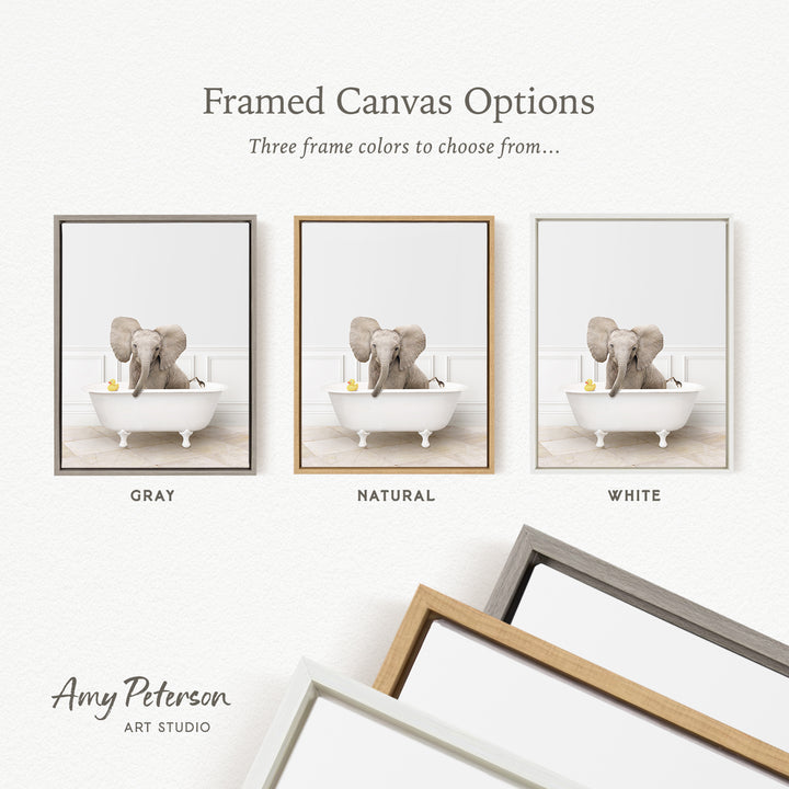 three framed canvas options, each featuring a photograph of an elephant sitting in a bathtub. The options include a gray frame, a natural frame, and a white frame. The text above the images reads " Framed Canvas Options" and "Three frame colors to choose from...".