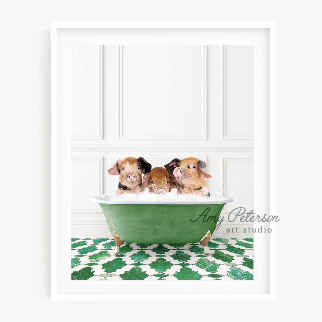 a group of three dogs sitting in a bathtub