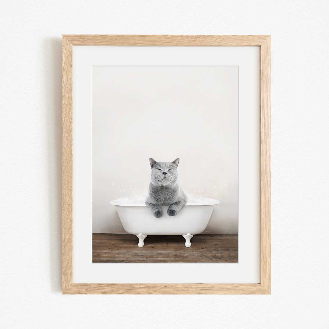 A gray cat sitting in a white bathtub, with its paws resting on the edge of the tub.