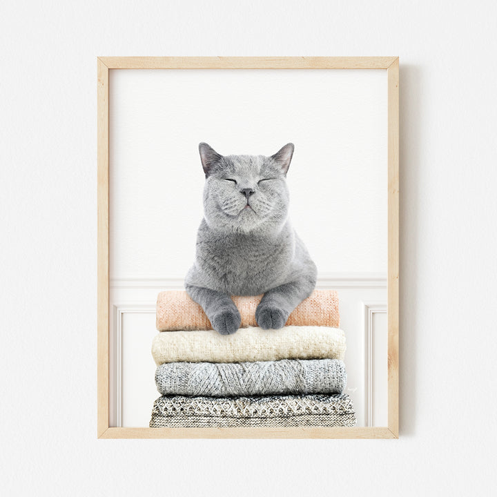 a gray cat sitting on top of a pile of blankets