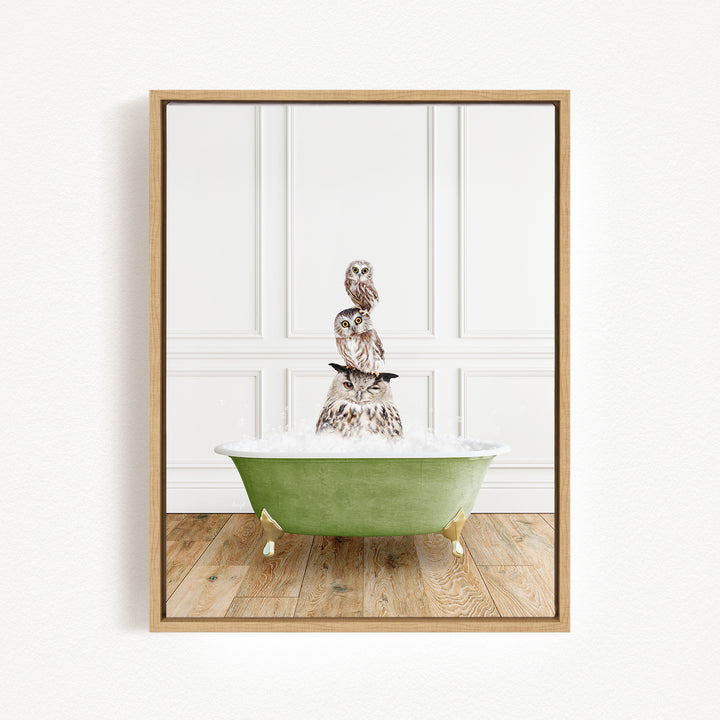 A framed image depicting three owls sitting on a green bathtub filled with water, creating a whimsical and playful scene.