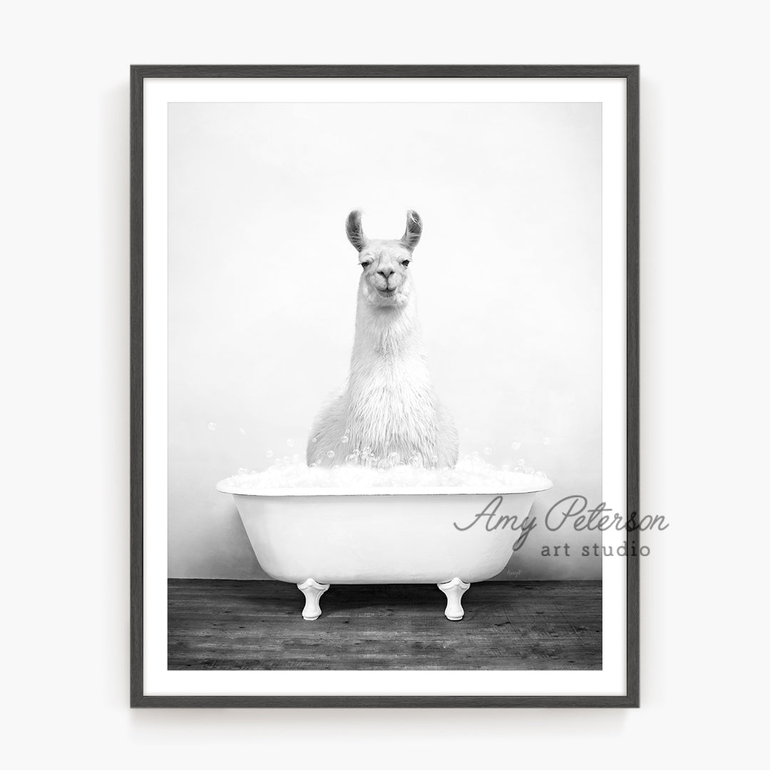 a black and white photo of a llama in a bathtub