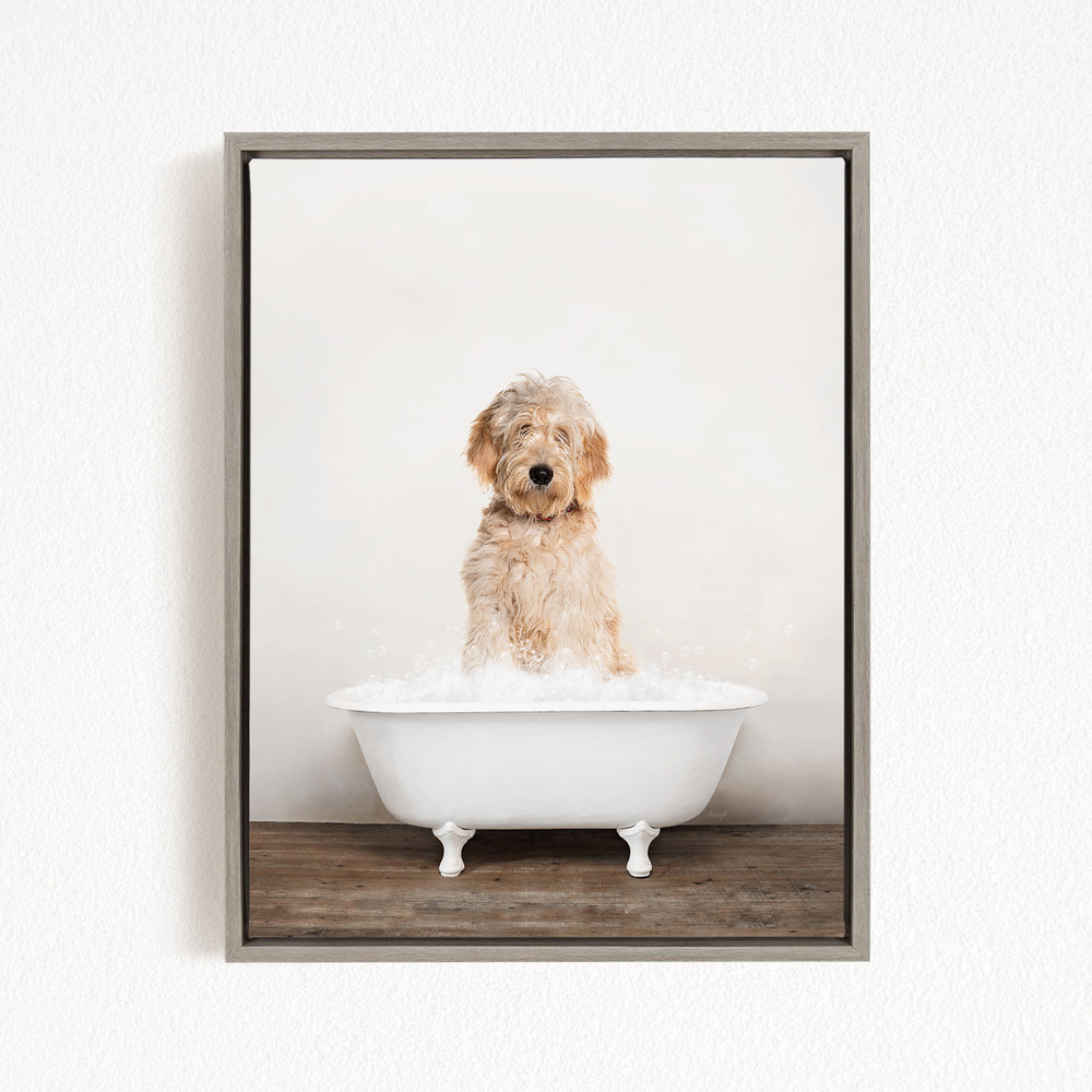 A fluffy golden retriever dog sitting in a white bathtub filled with bubbles, looking directly at the camera.