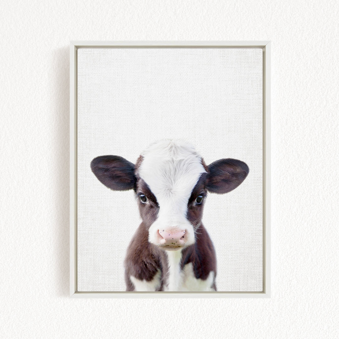 A framed image of a black and white cow with a curious expression, looking directly at the camera.