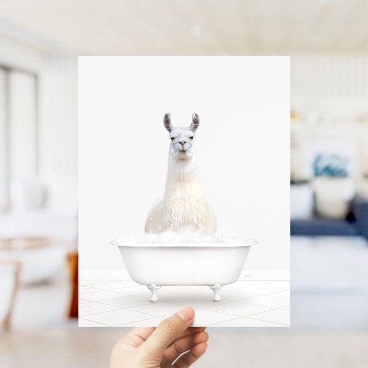 A white llama sitting in a white bathtub filled with bubbles.