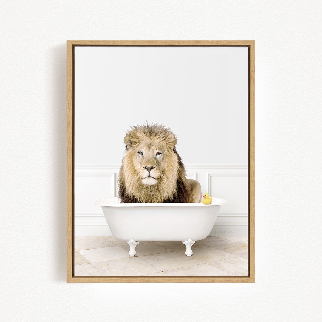 A lion sitting in a white bathtub, with a yellow rubber duck floating in the water.