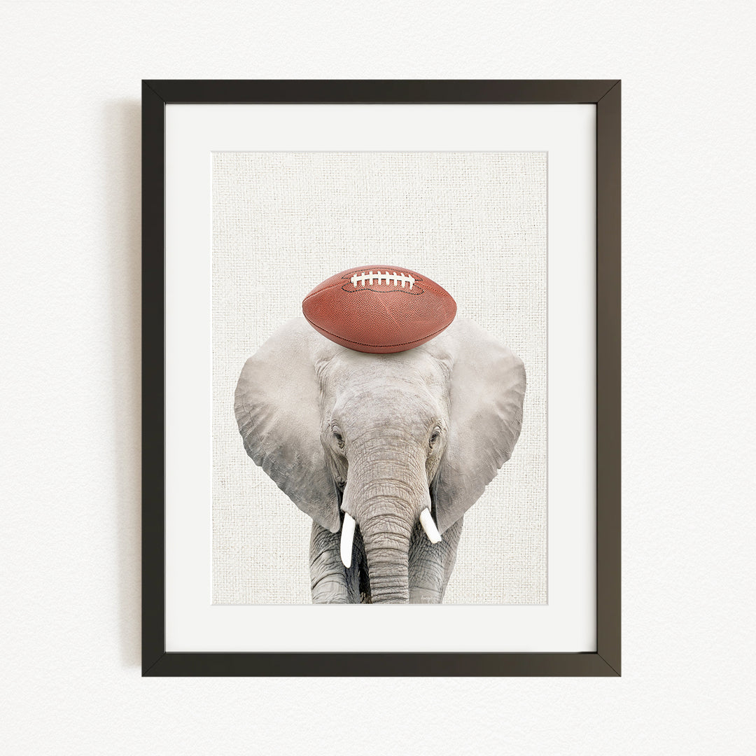 A framed image of an elephant holding a football on its head.