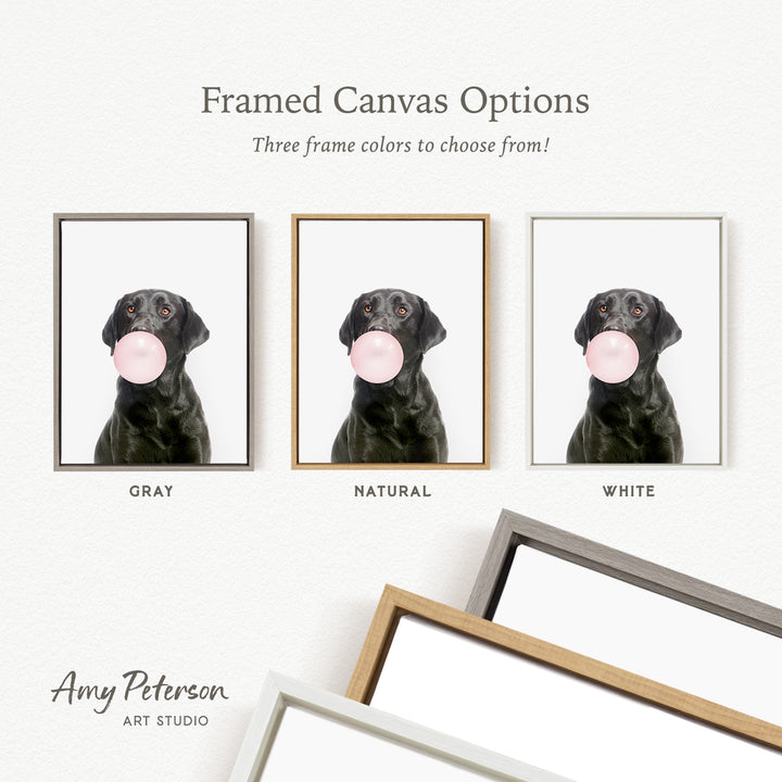 three framed canvas options for a black dog blowing a bubble with a pink bubble gum bubble. The options include "Grays", "Natural", and "White" frame colors.