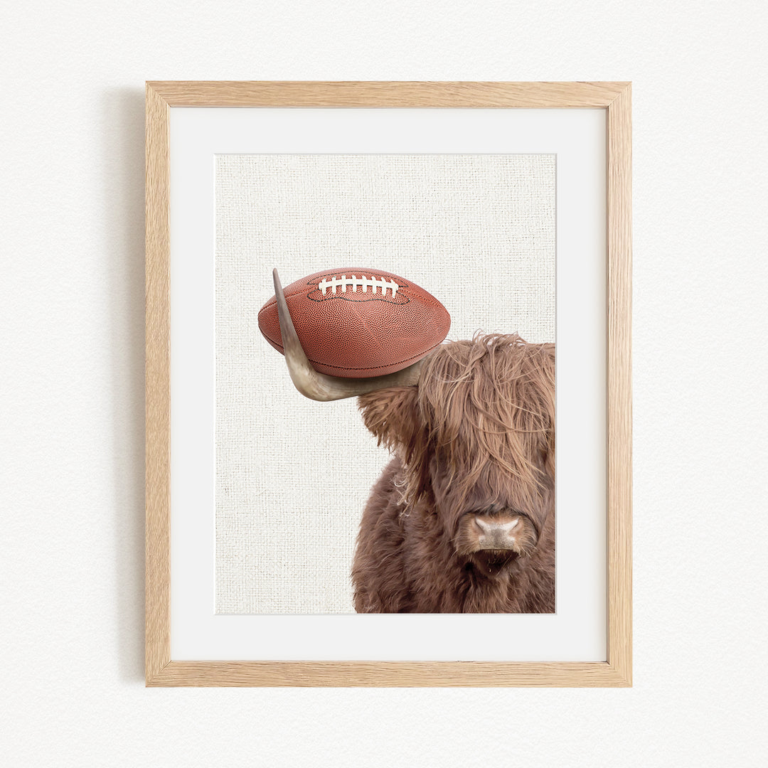 A framed image of a Highland cow with a football on its head.