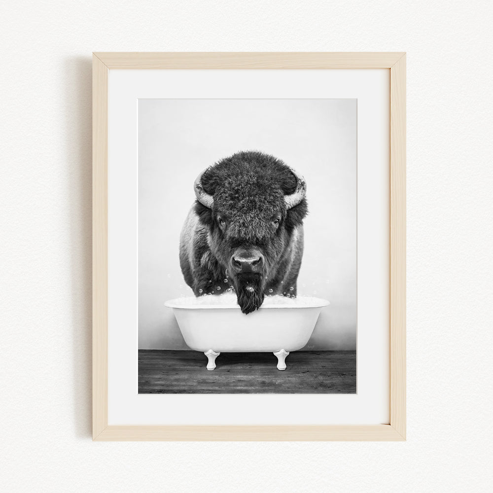 A black and white photograph of a buffalo standing in a bathtub.