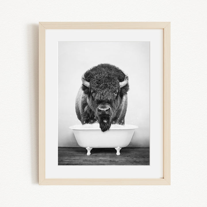 A black and white photograph of a buffalo standing in a bathtub.