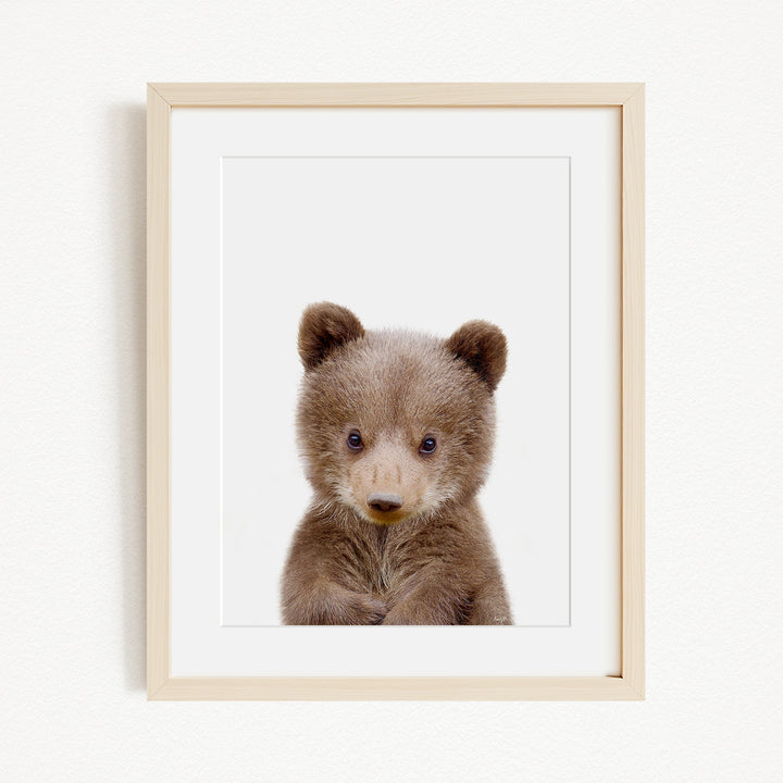 A cute baby bear peeking out from behind a white background, framed in a wooden frame.