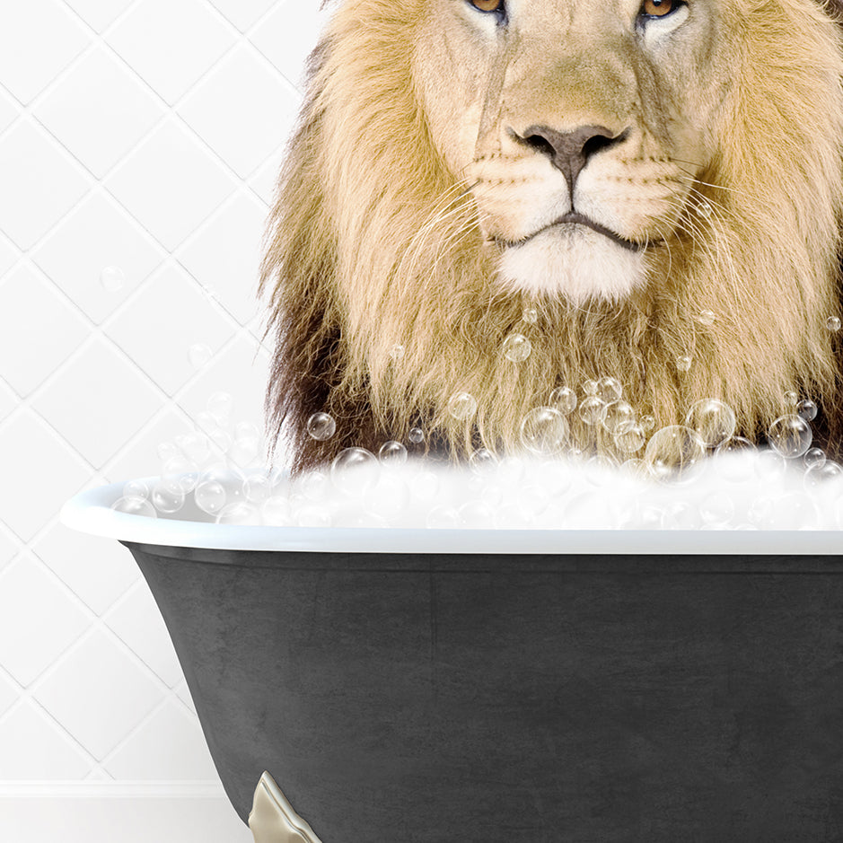 a lion sitting in a bathtub with bubbles