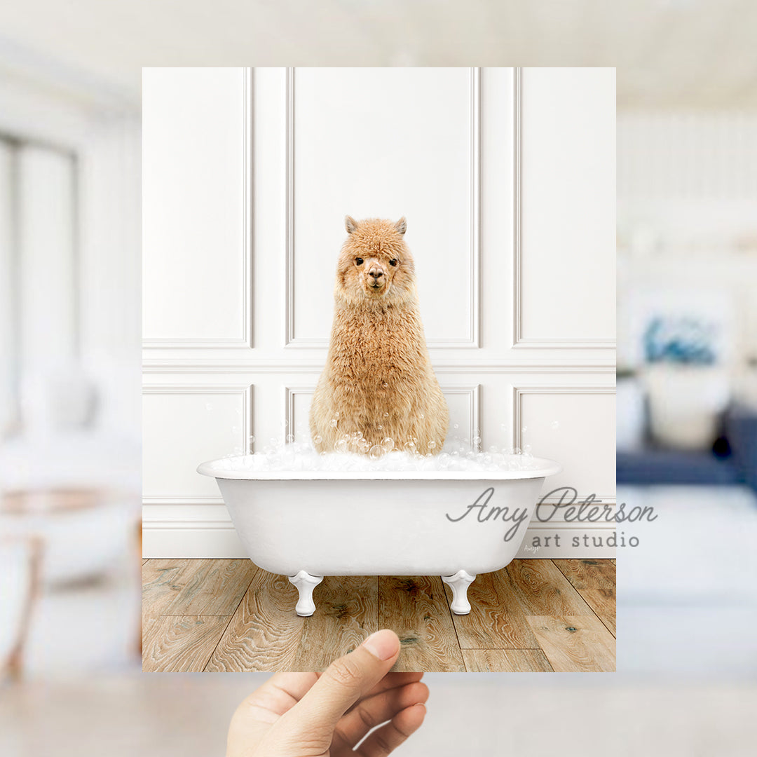 a hand holding a photo of a dog in a bathtub