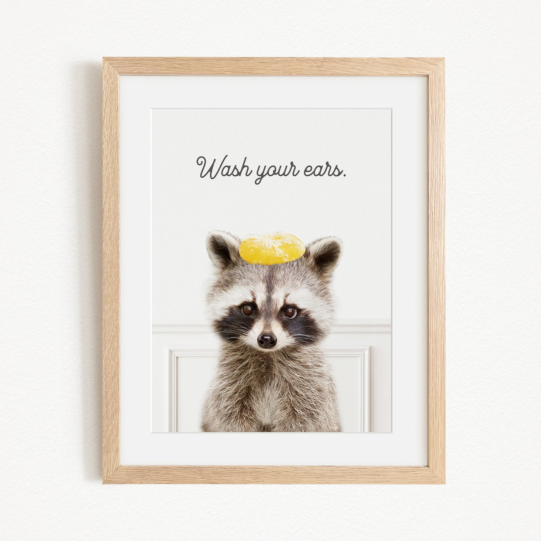 A raccoon wearing a yellow object on its head, with the text "Wash your ears" written above it.