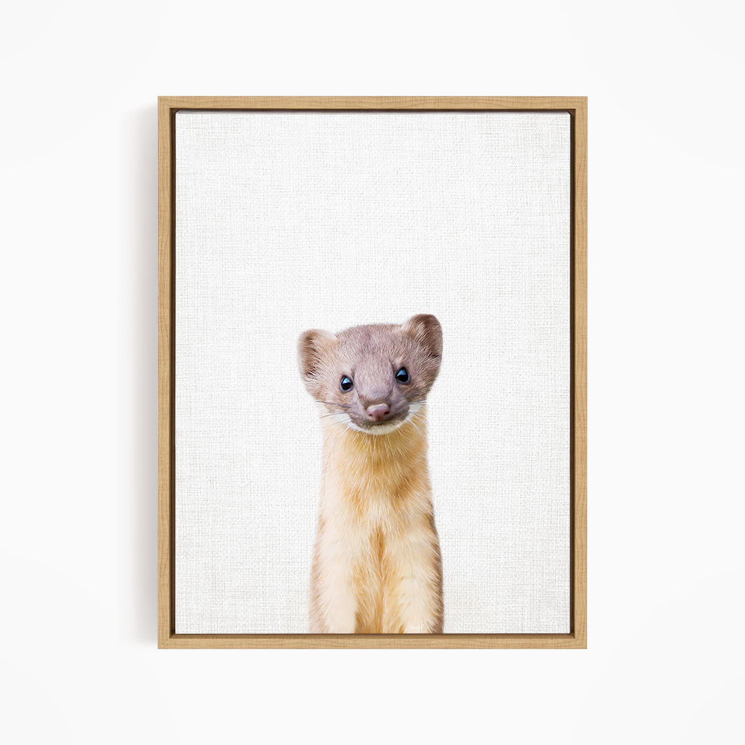 A cute beige and gray ferret peeking out from behind a white background.