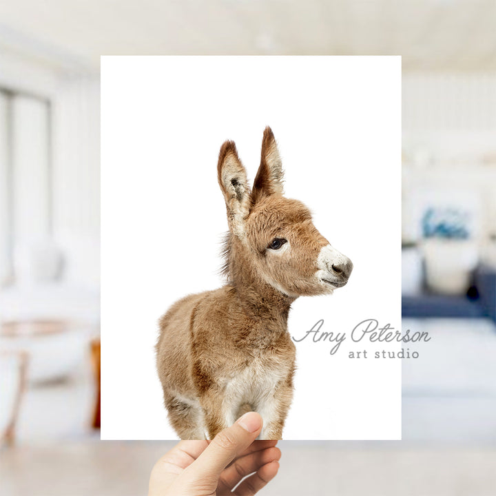 a person holding up a card with a picture of a baby donkey