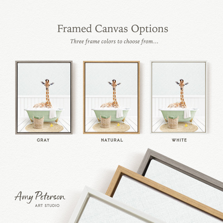 three framed canvas options, each featuring a giraffe in a bathtub. The options include a gray frame, a natural frame, and a white frame. The text above the images reads " Framed Canvas Options" and "Three frame colors to choose from...".