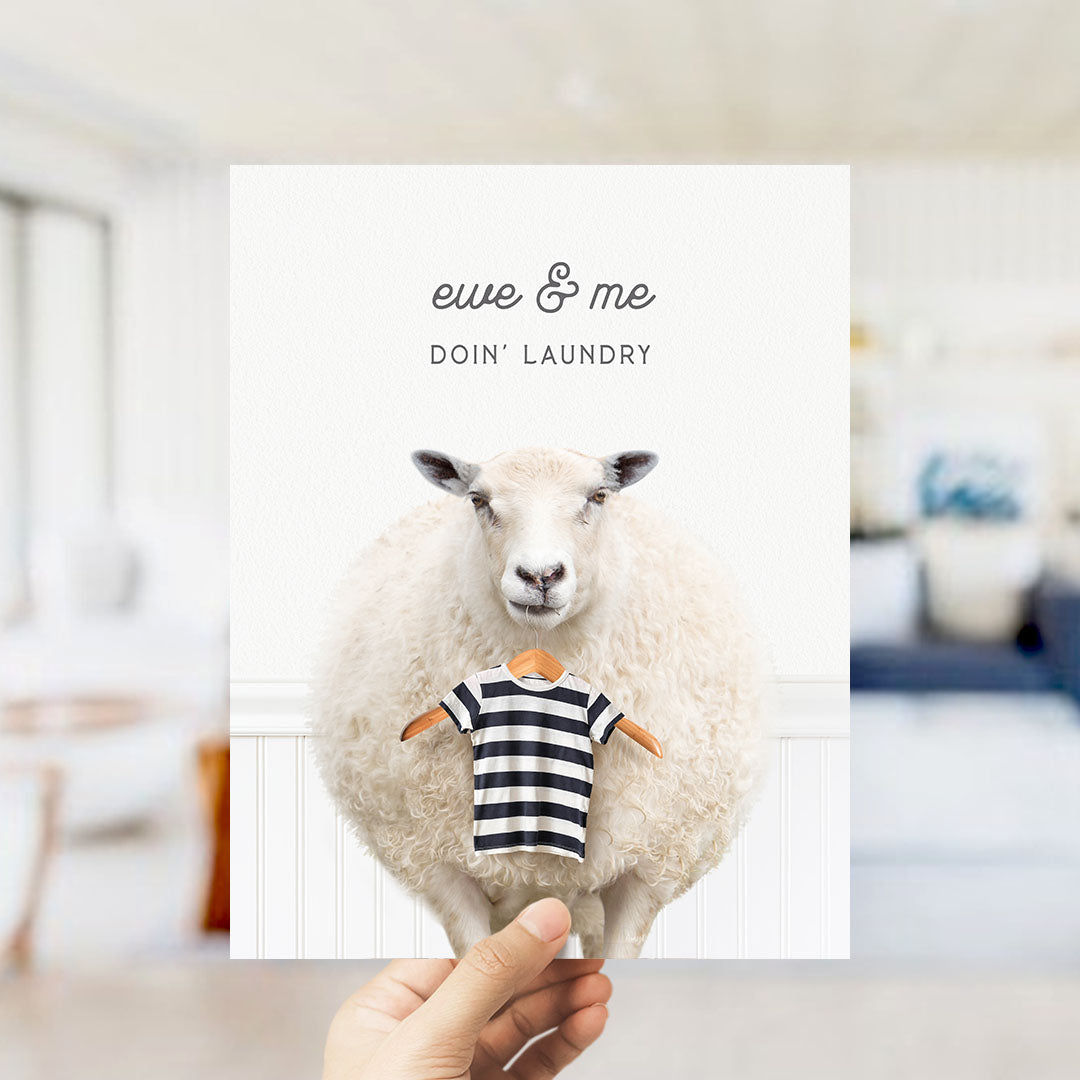 A hand holding a white sheep wearing a striped shirt, with the text "ewe & me DO'N' LAUNDRY" displayed above the sheep.