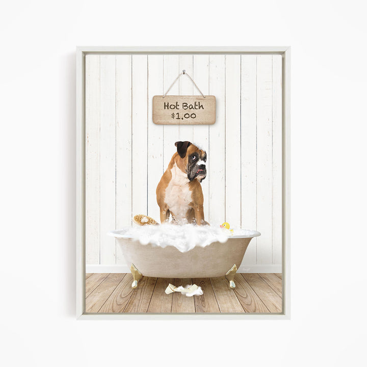 A brown and white dog sitting in a white bathtub filled with bubbles, with a sign above the tub indicating a hot bath for $1.00.