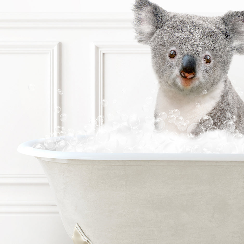 a koala is sitting in a bathtub full of bubbles