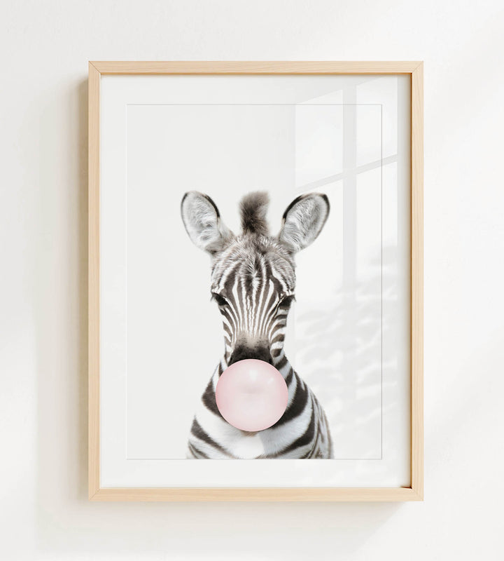 Baby Zebra Blowing Pink Bubble Gum