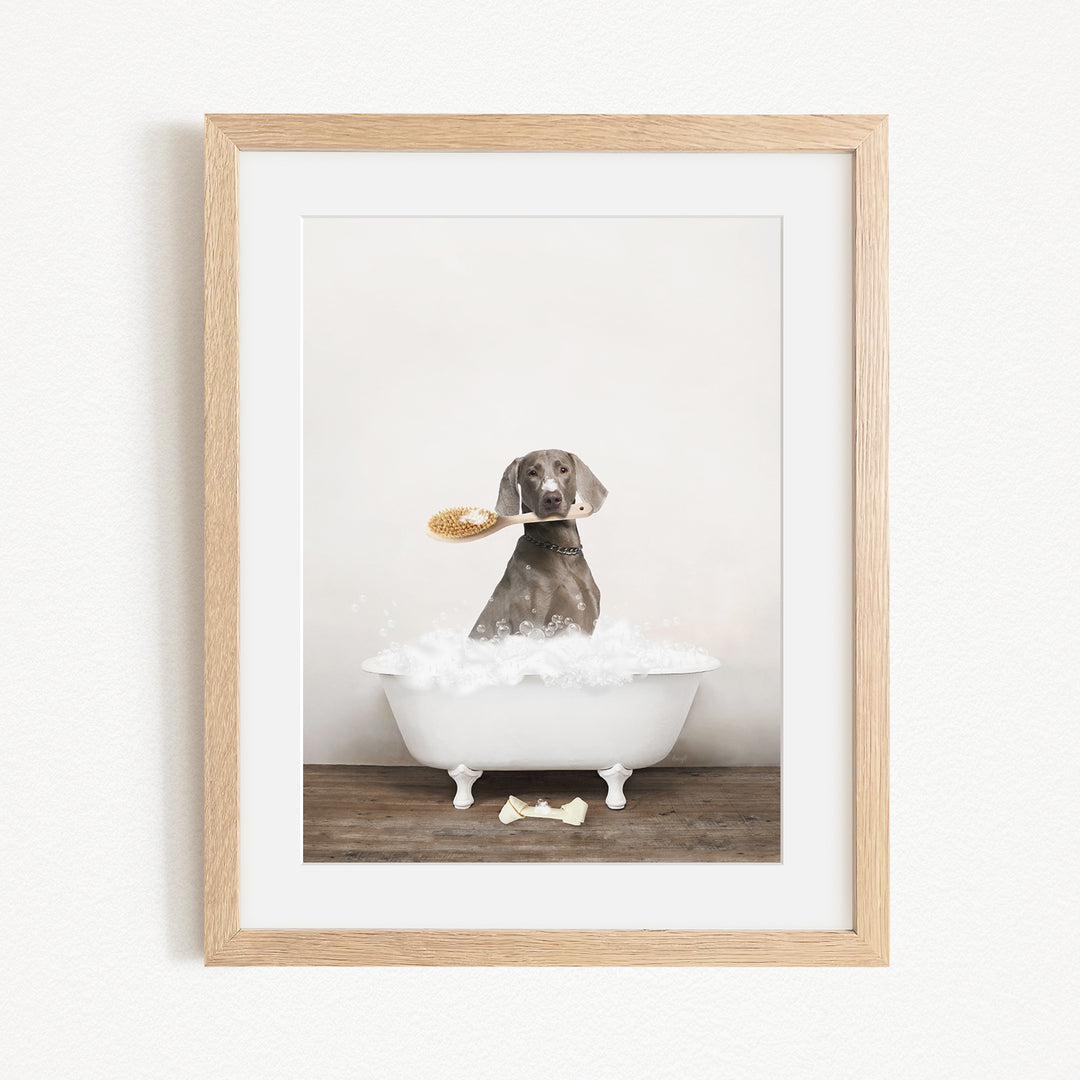 A dog sitting in a white bathtub, holding a brush in its mouth, with a wooden frame around the picture.