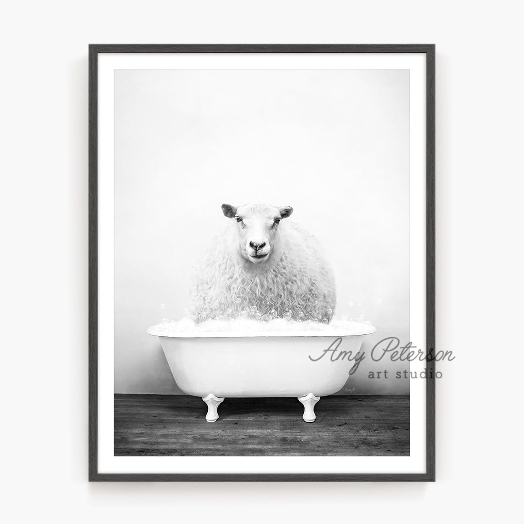 a black and white photo of a sheep in a bathtub