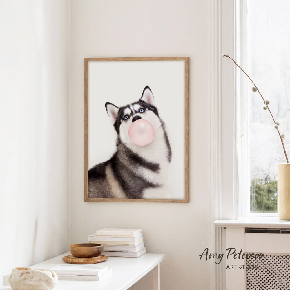 A framed photograph of a husky dog blowing a bubble gum bubble is hanging on a white wall in a room with a white table and a window.