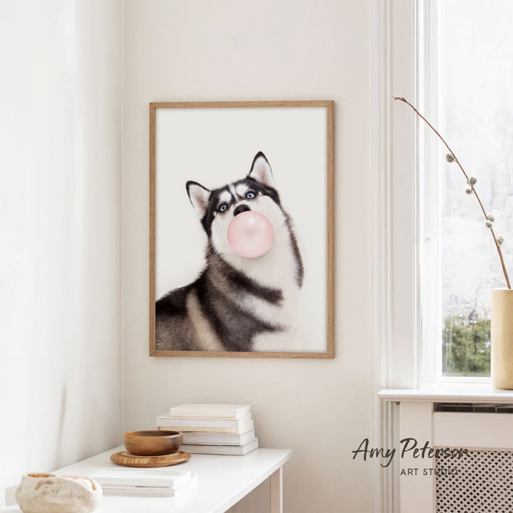 A framed photograph of a husky dog blowing a bubble gum bubble is hanging on a white wall in a room with a white table and a window.