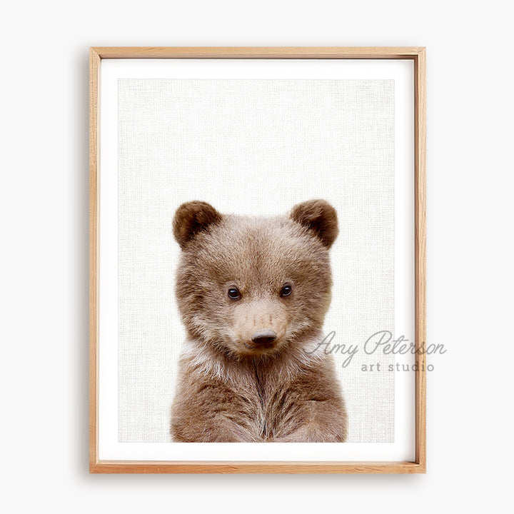 a picture of a brown bear with a white background