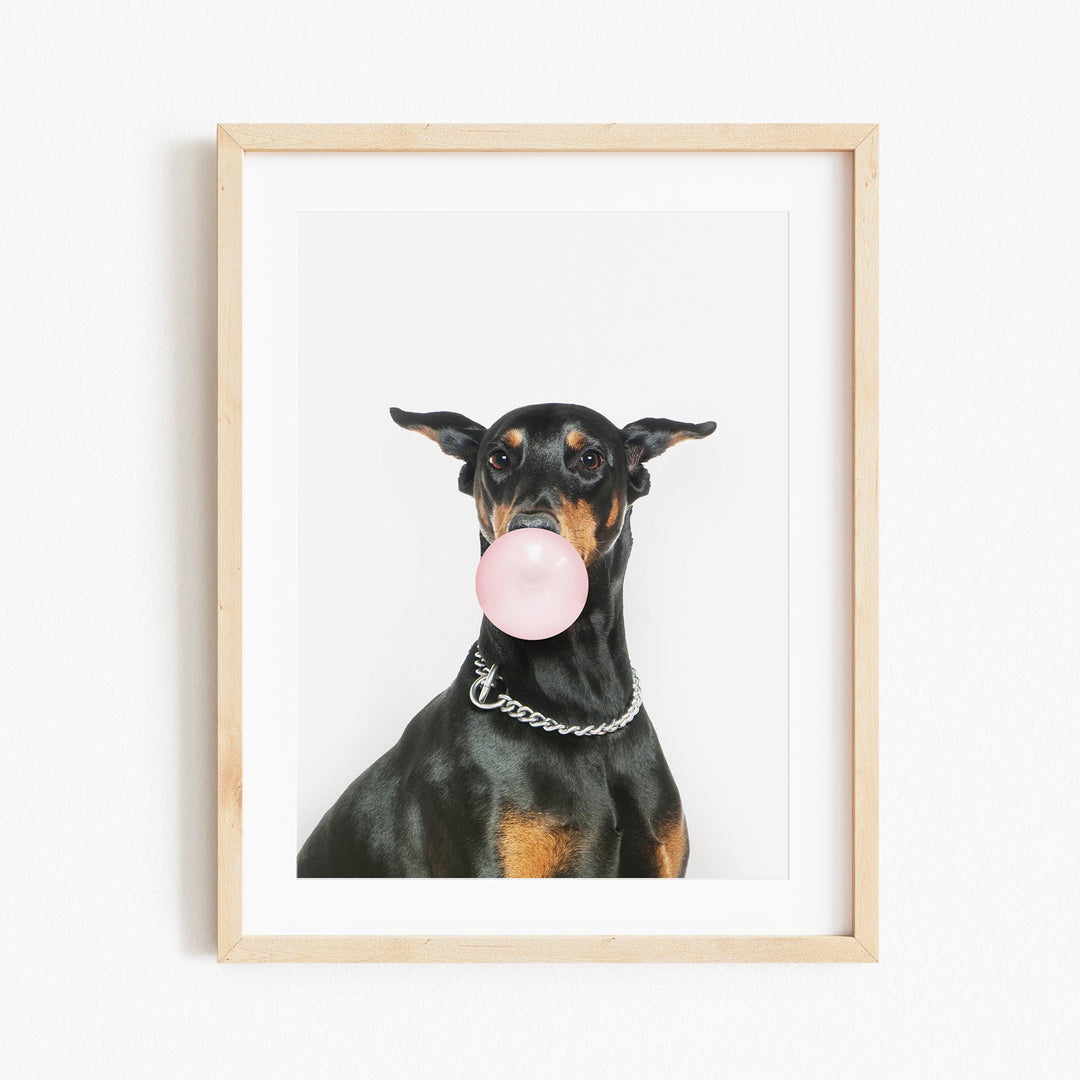 a black and brown dog with a bubble gum in its mouth