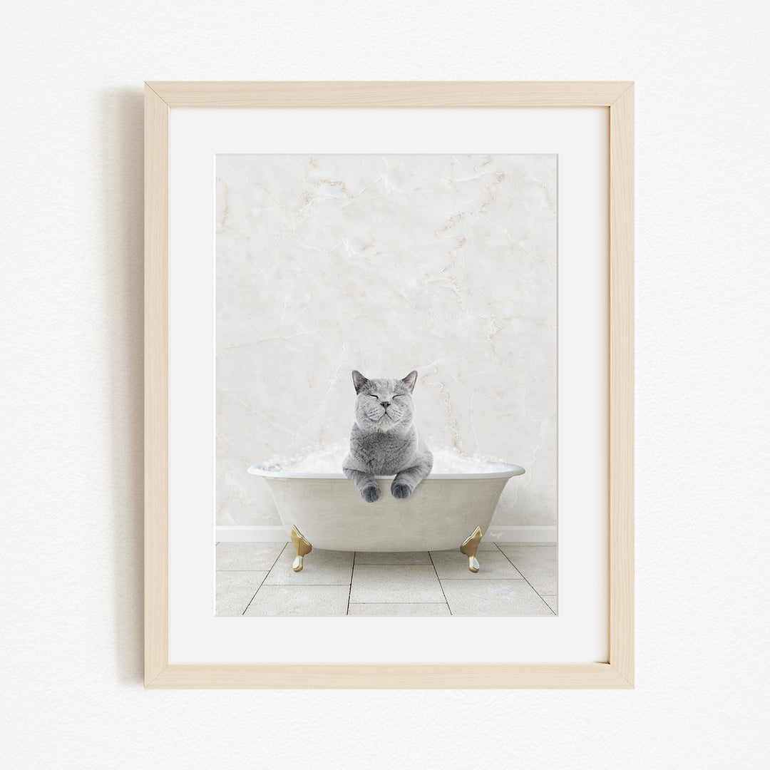 A gray cat sitting in a white bathtub, with its paws resting on the edge of the tub.